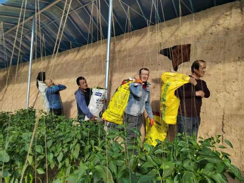 微信圖片_20221226214159.jpg 微信圖片_20221226214159.jpg